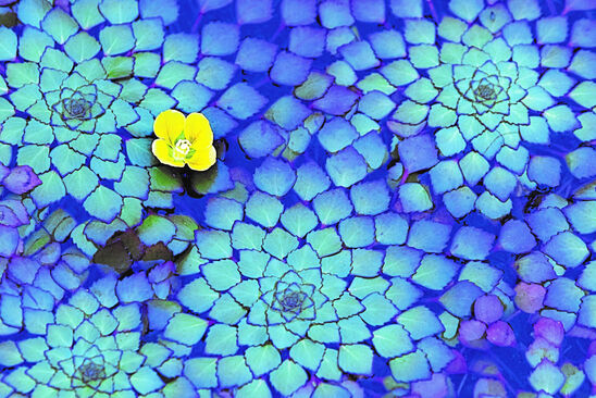 Kladou na vás všichni spoustu různých požadavků na rozvoj, které se navíc neustále mění?